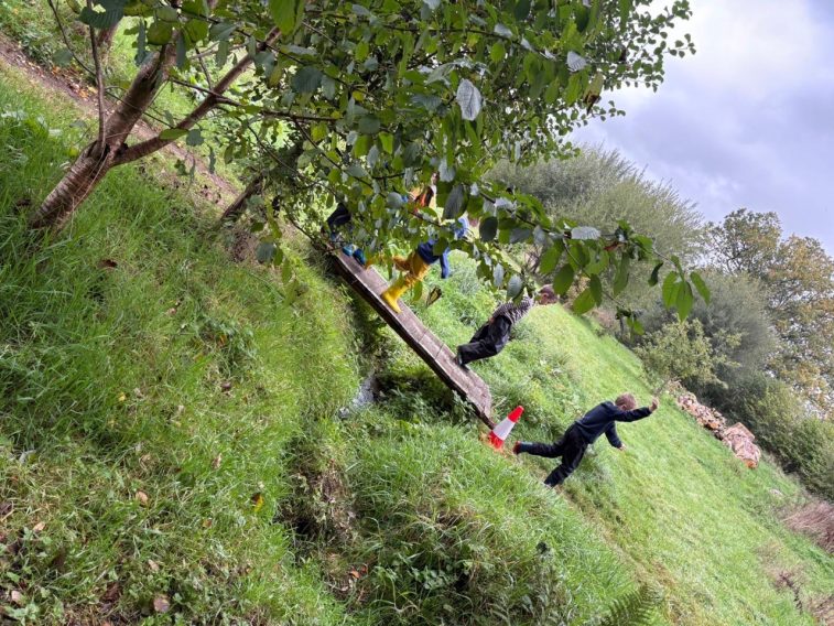 Forest School Fun 